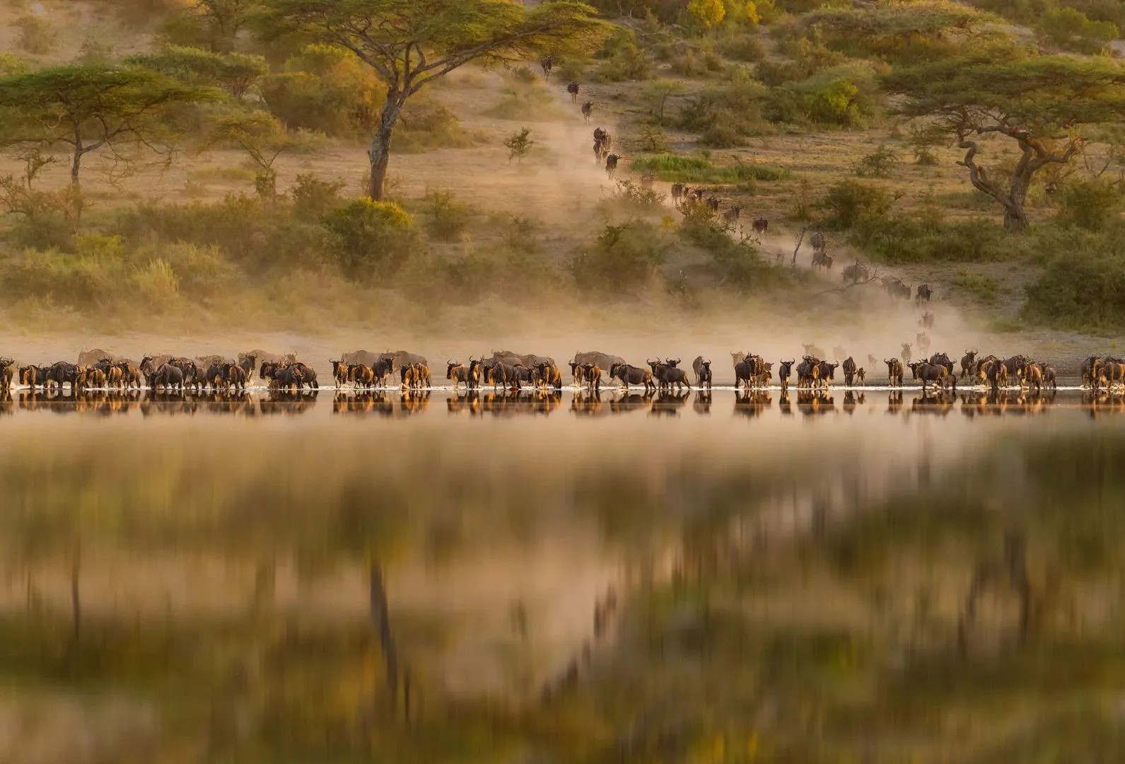 Uganda — rolling hills and crater lakes